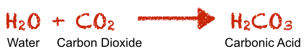 Carbonic Acid