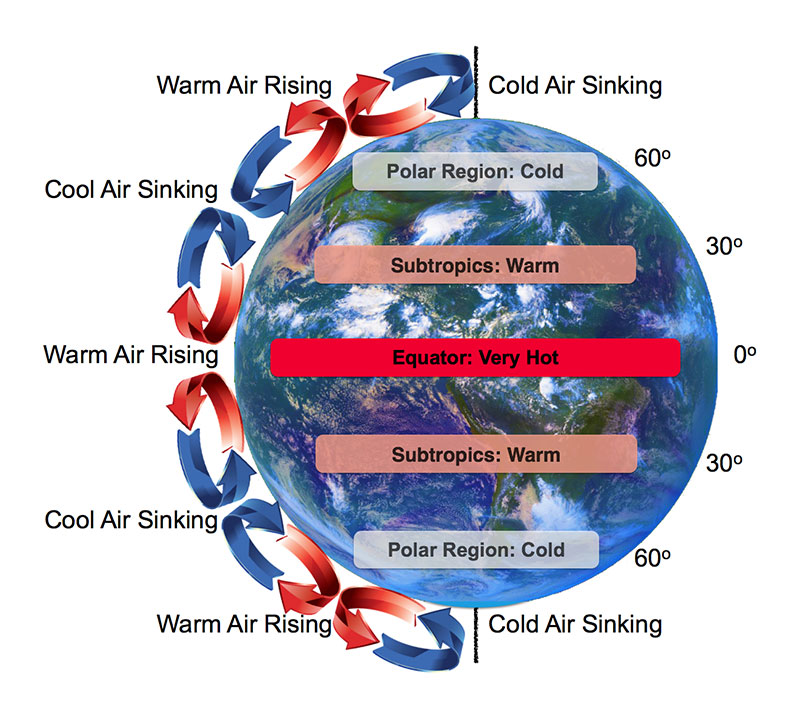 GlobalCirculation_WEB