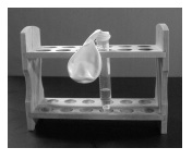 KE:PE 3 Lab Balloon on Tube