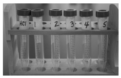 Acids 2 Lab Test Tubes