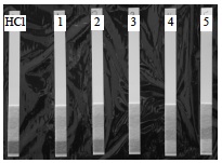 Acids 2 Lab pH Strips