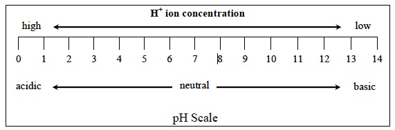 Acids 3 Post pH Scale