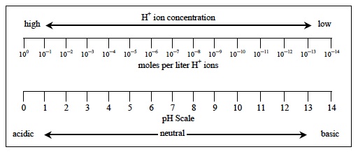 Acids Intro 7th