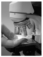 Cellular 1 Lab Clean Micro