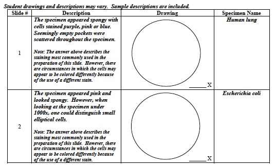 Cellular 1 Lab Table A 1st