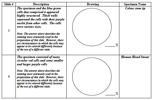 Cellular 1 Lab Table A 2nd