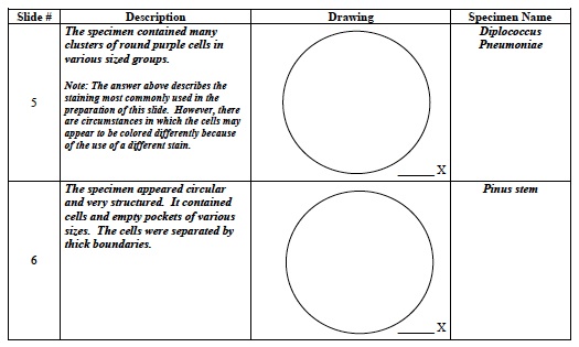Cellular 1 Lab Table A 3rd