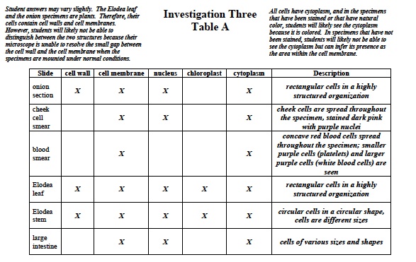 Cellular 3 Lab Table A