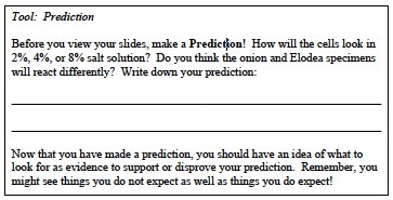 Cellular 4 Lab Prediction