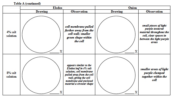 Cellular 4 Lab Table A 2nd