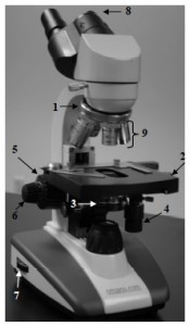 Cellular Inv 1  Lab Mircroscope