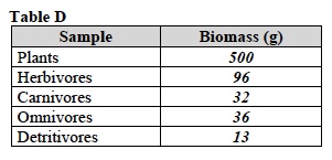 Eco 1 Lab Table D