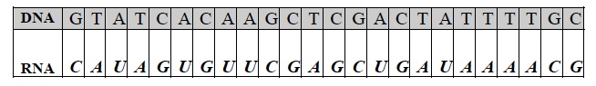 GP Trial 1 A