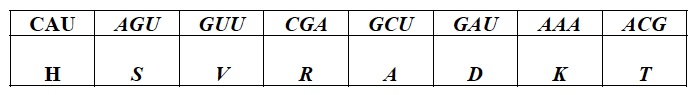 GP Trial 1 D