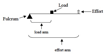 SM Inv 2 Lab Trial 5 B