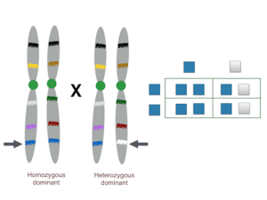 ADAPT_1_ANSWER_2_23_16.001
