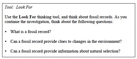 Adapt Inv. 3 Lab Trial 2 Look For