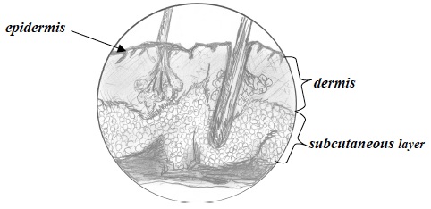 CCC Inv 1 Lab Trial 1 A