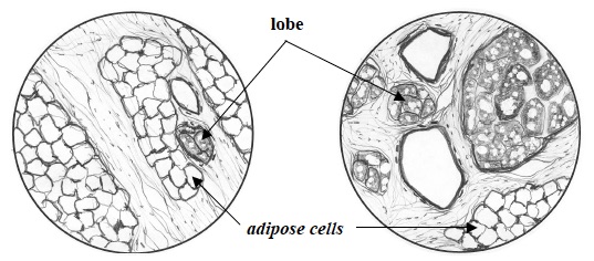 CCC Inv 1 Lab Trial 3 A