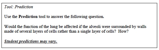 CCC Inv 1 Lab Trial 3 Prediction