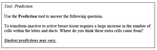CCC Inv 1 Lab Trial 4 Prediction