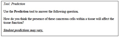 CCC Inv 3 Lab Trial 2 Prediction