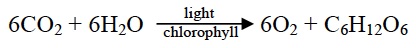 Photo Intro Equation 2