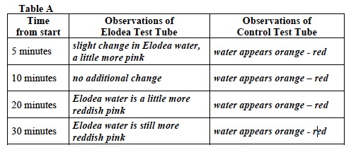 Photo Inv. 2 Lab Table A