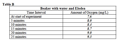 Photo Inv. 2 Lab Trial 2 Table B