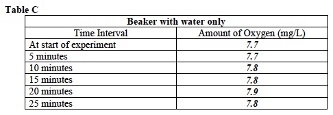 Photo Inv. 2 Lab Trial 2 Table C