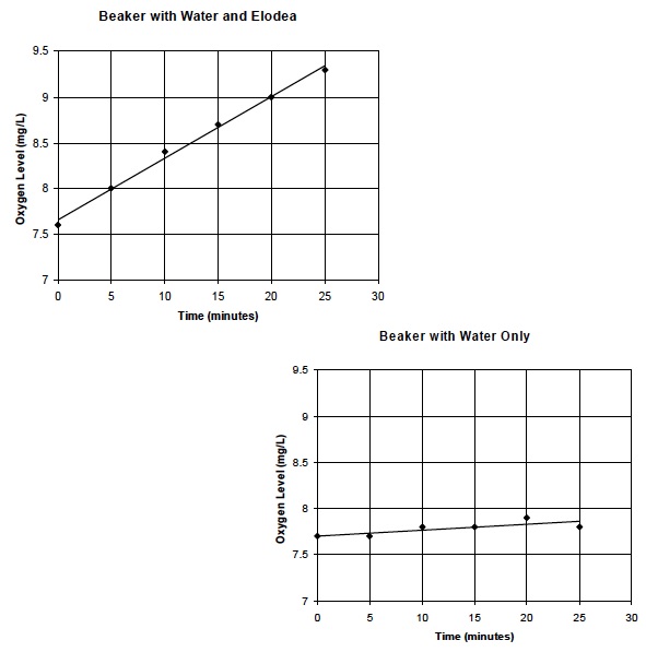 Photo Inv. 2 PostLab Graphs