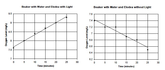 Photo Inv. 3 PostLab Graphs