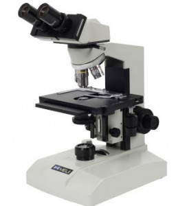 ms-microscope